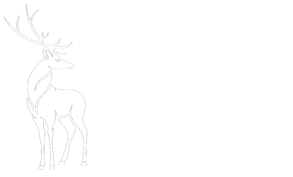 PJ Buckly Logo